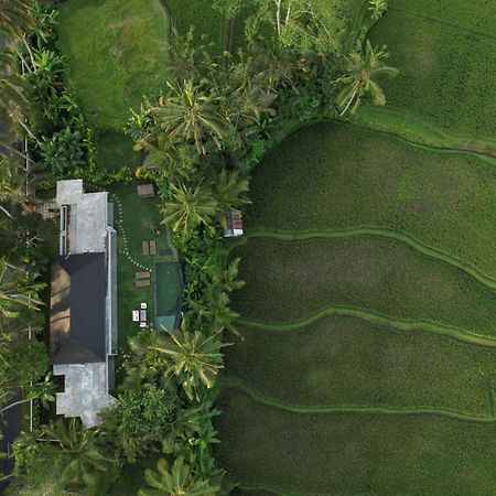 Hatiku Di Bali - Ubud Tegallalang  Eksteriør bilde
