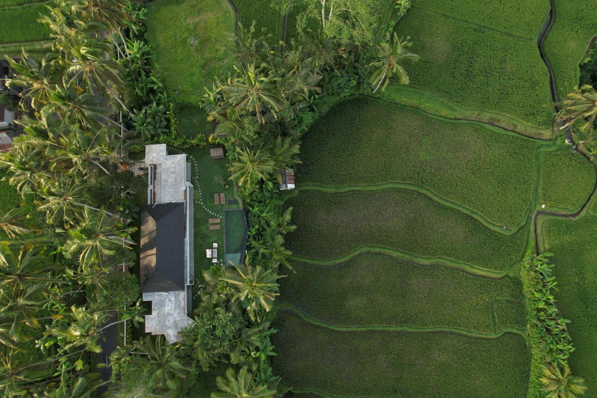 Hatiku Di Bali - Ubud Tegallalang  Eksteriør bilde